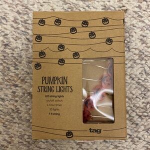 Tag Pumpkin String Lights